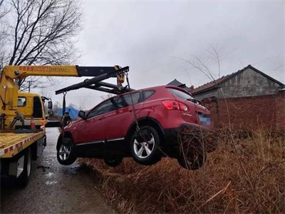 东西湖区楚雄道路救援